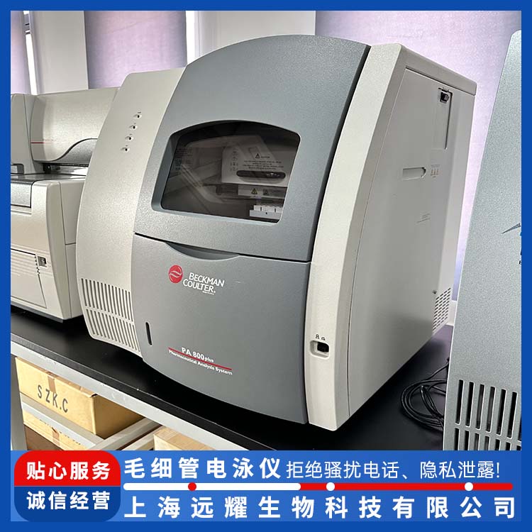 BECKMAN PA800 plus电泳仪 高灵敏度 使用方便 应用范围广