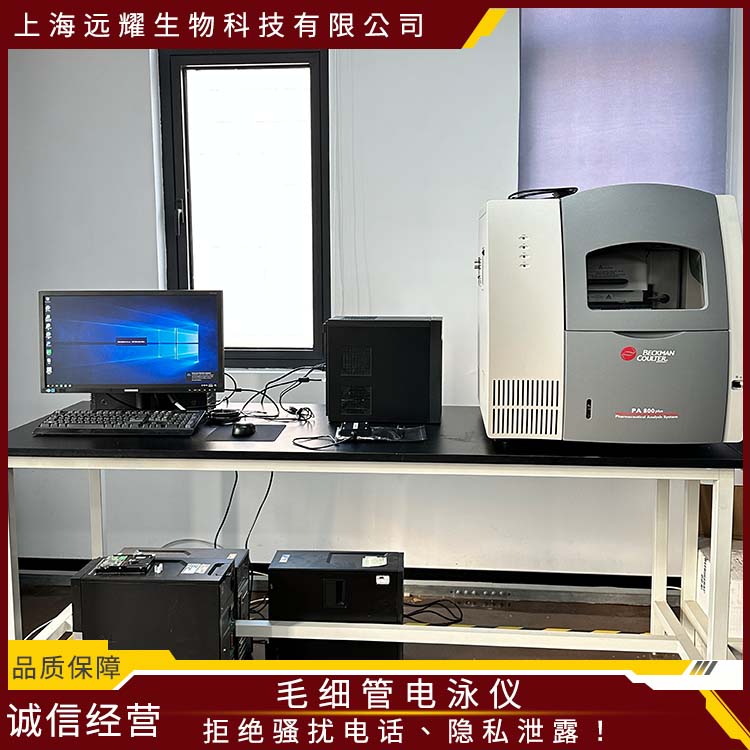 BECKMAN 二手毛细管电泳仪PA800 plus 性能稳定 噪音低 应用范围广