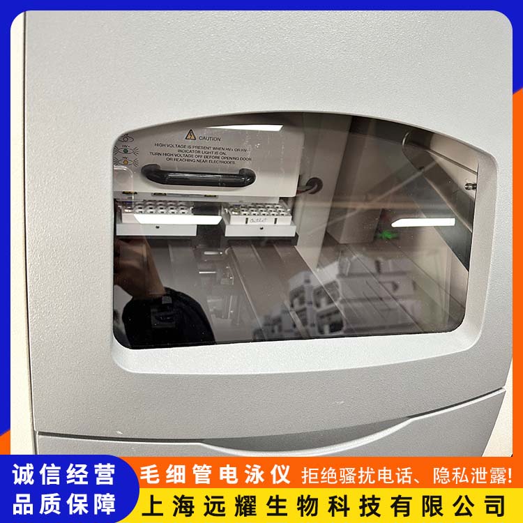 BECKMAN PA800 plus电泳仪 性能稳定 噪音低 全自动控制