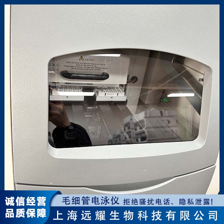 BECKMAN PA800 plus电泳仪 高分辨率 高灵活性 高精度 