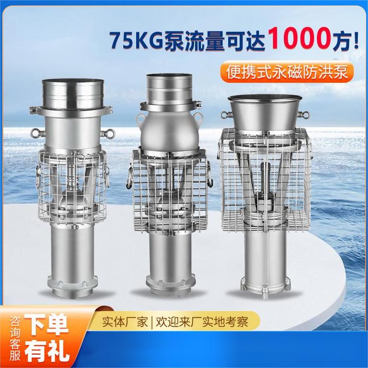500-1000方高扬程不锈钢便携式大流量永磁泵 防洪抢险应急轴流泵