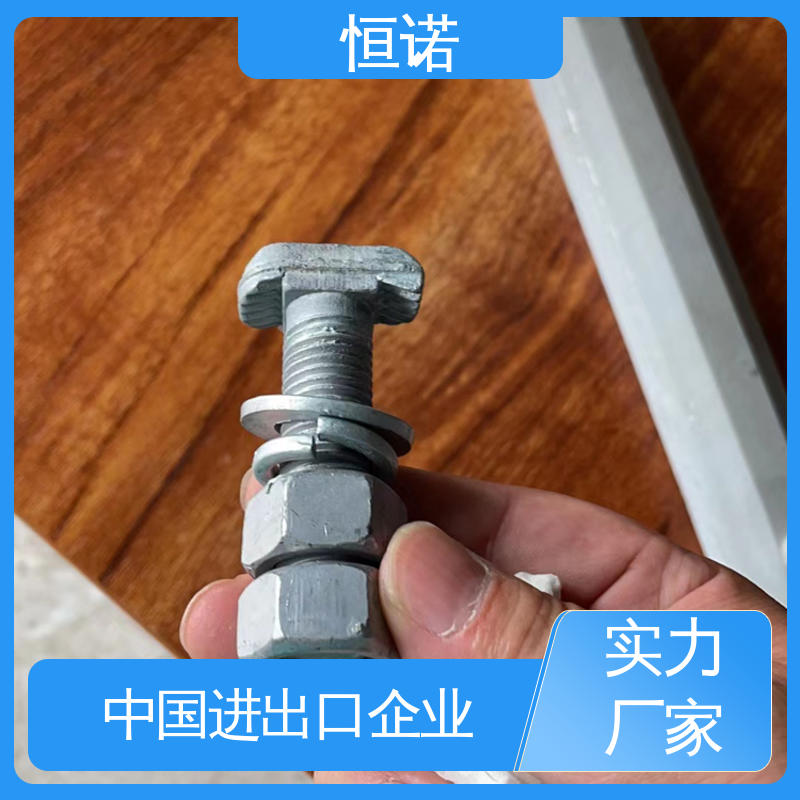 抗拉耐腐蚀 按需定制 质量保障 管廊托臂T型螺栓 恒诺