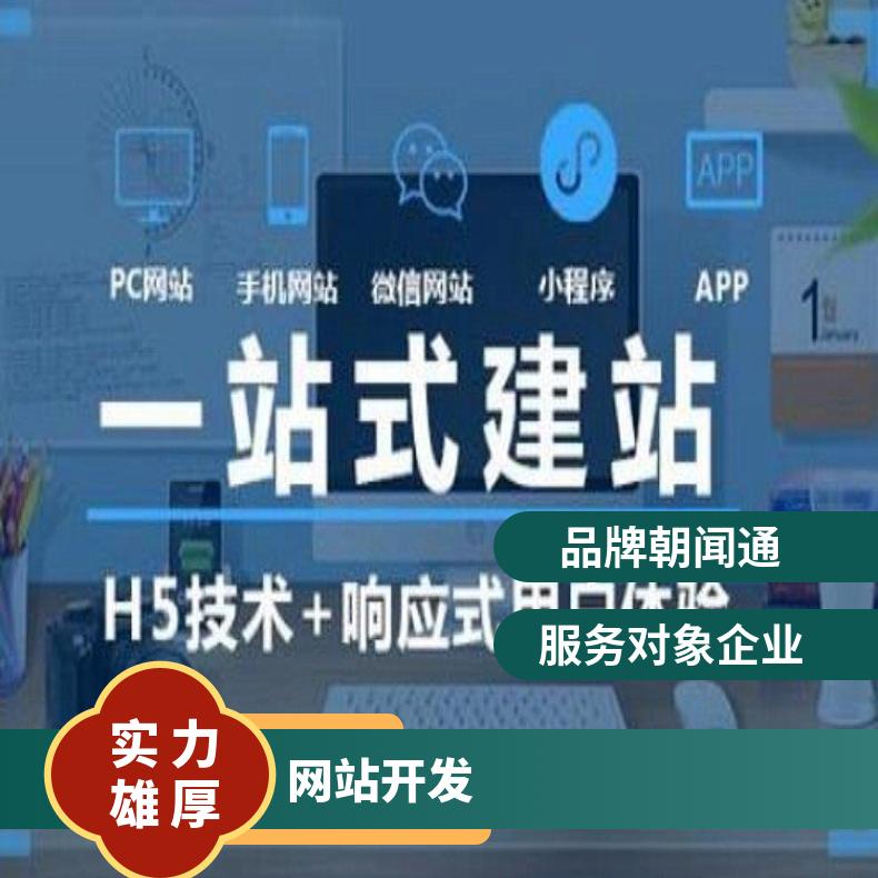 网站建设 网页设计与开发 搭建 一条龙制作找朝闻通