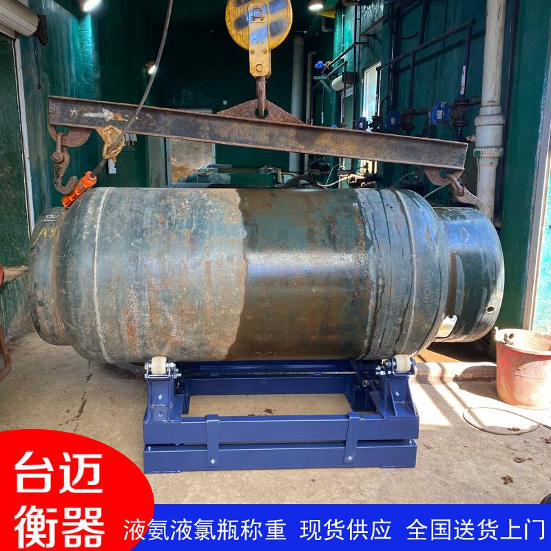 台迈SCS-TM-3000电子钢瓶秤 1-3吨防爆精准称量