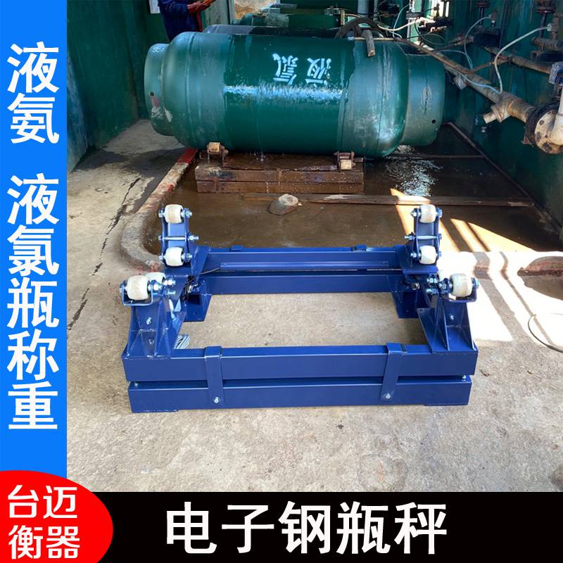 台迈电子钢瓶秤 SCS-TM-3000型 3吨称量 800*1200mm 交直流供电