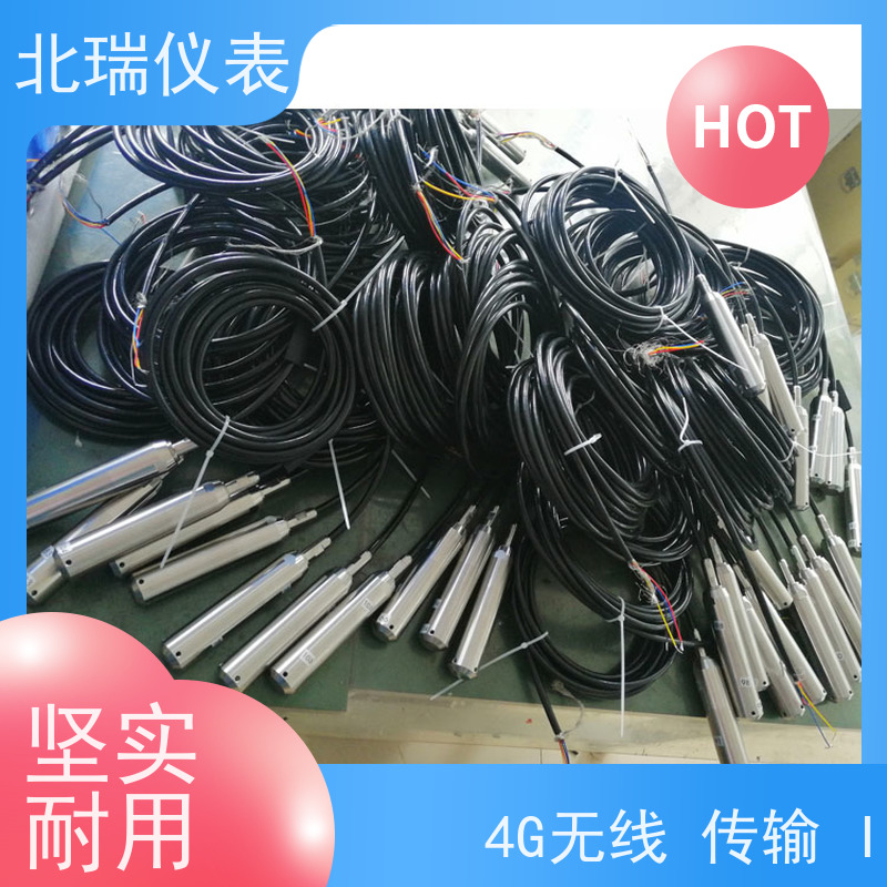 北瑞仪表PT100铂电阻 防潮防雨高精度 经久耐用