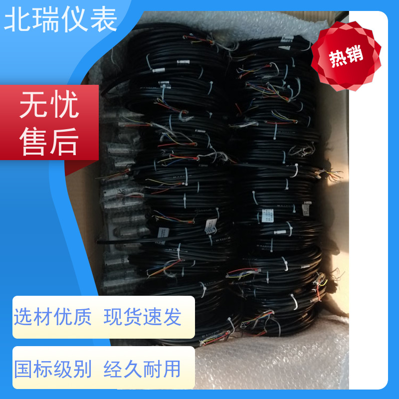 北瑞仪表 投入式水温计 使用安全 性价比高 不受介质密度和温度的变化