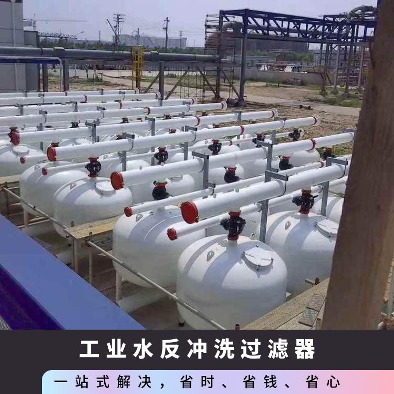 反冲洗过滤器 工业定制 励进 重量4000 工厂企业用水 LJAGF48-1
