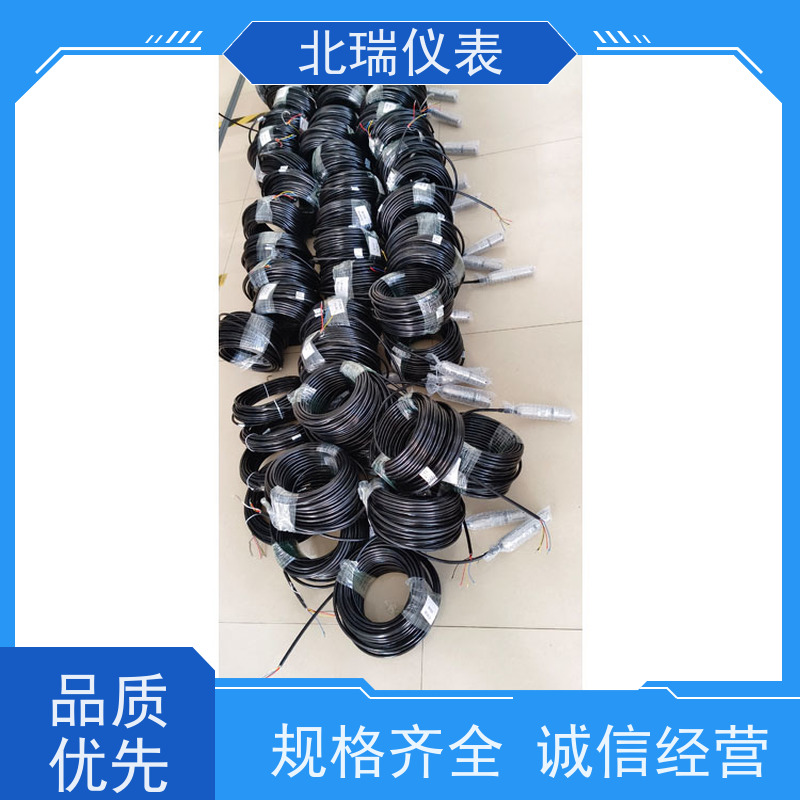 北瑞仪表 RS485输出渗压计 埋入式 性能稳定 多规格可选 库存充足