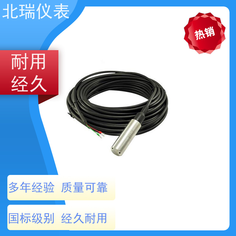北瑞仪表 RS485输出渗压计 准确度高 牢固耐用 严选原材 品质放心