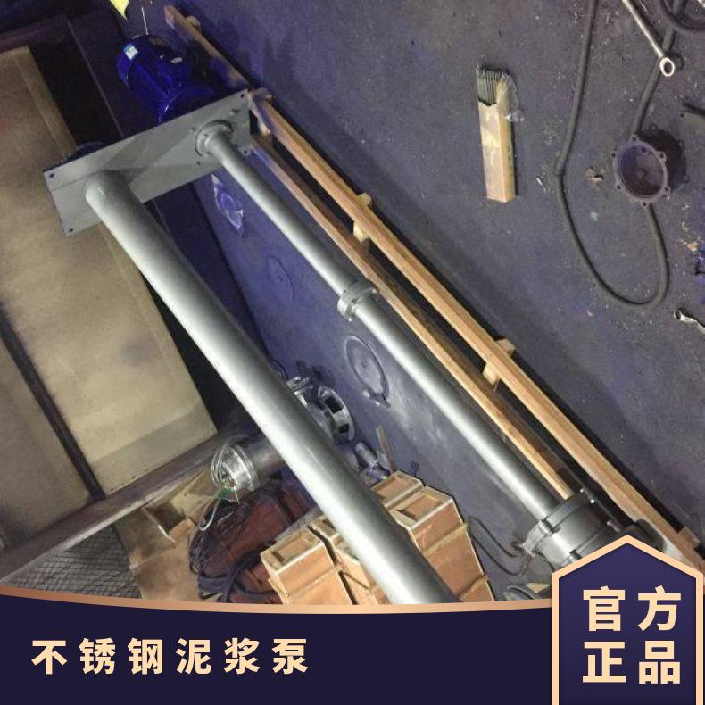 NL100-10 NL80-8 不锈钢泥浆泵 10m~60m 电动 边立式 铸铁材质