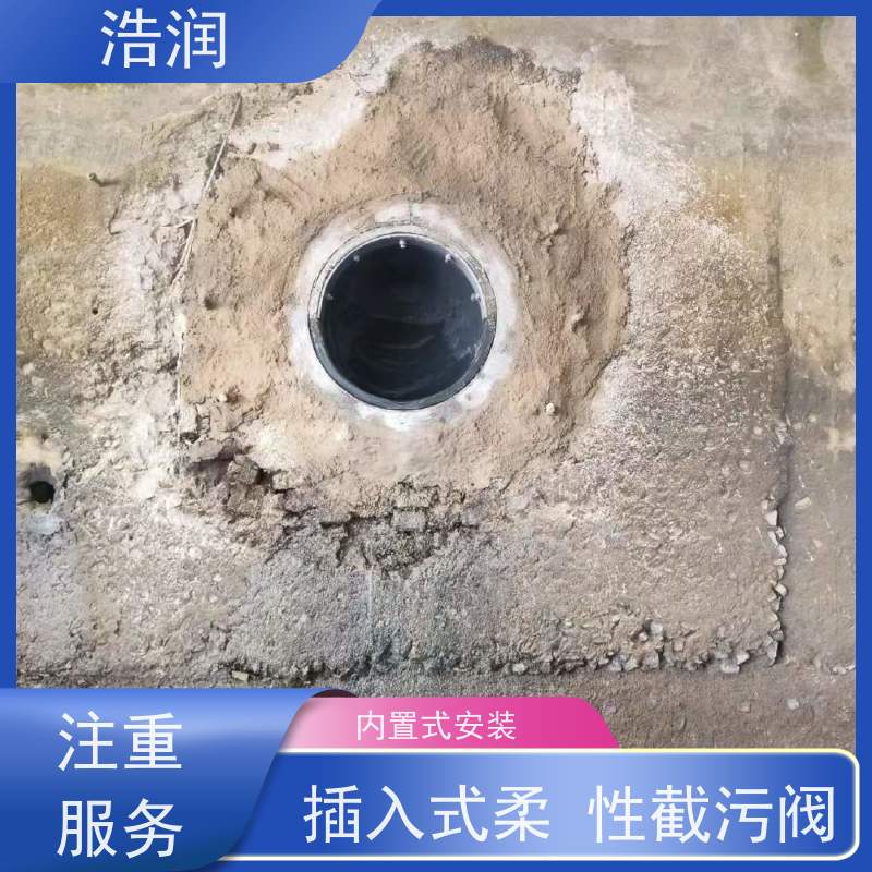 浩润 不锈钢管中型内置防倒灌器 防止水回流 可定制