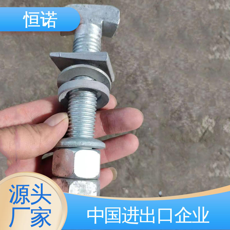恒诺 牢固耐用 来图定做 生产厂家 管廊支架配件T型螺栓