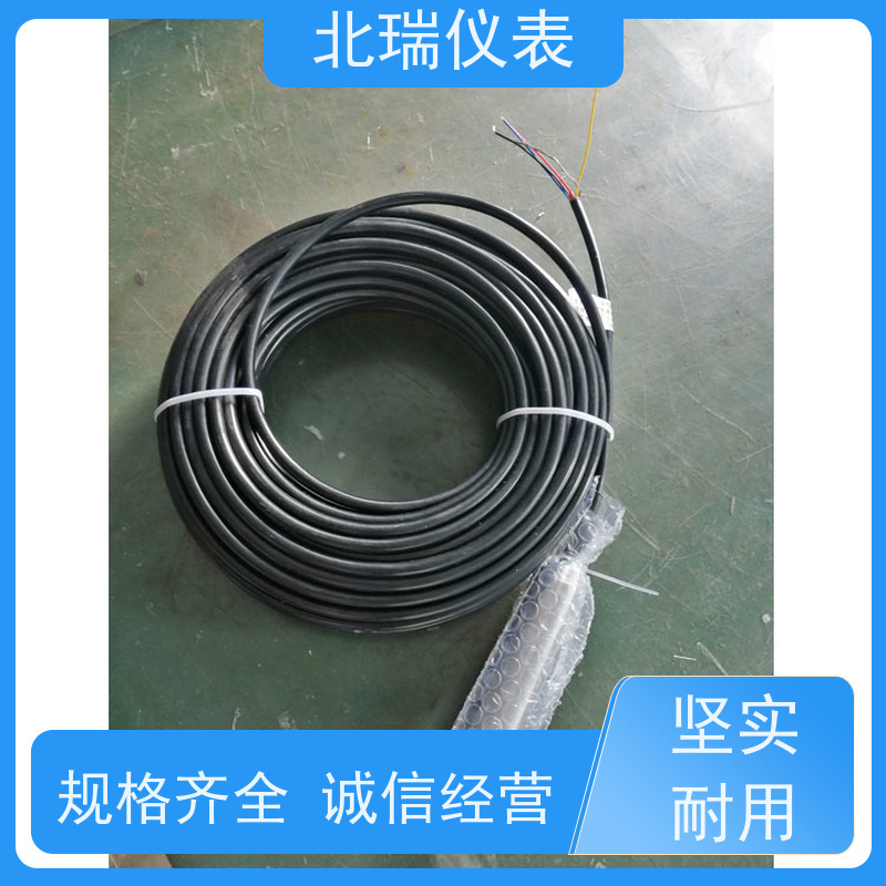 北瑞仪表 压力式水位计 体积小重量轻 安装维护方便 厂家供应 售后无忧