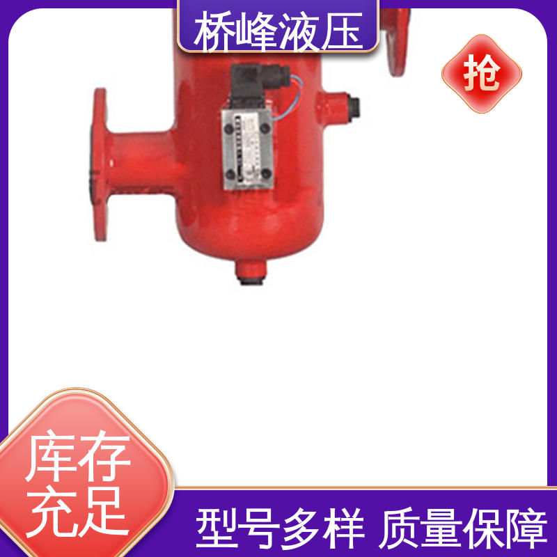 精工制造 大流量双筒过滤器 回复迅速 品质安心 桥峰