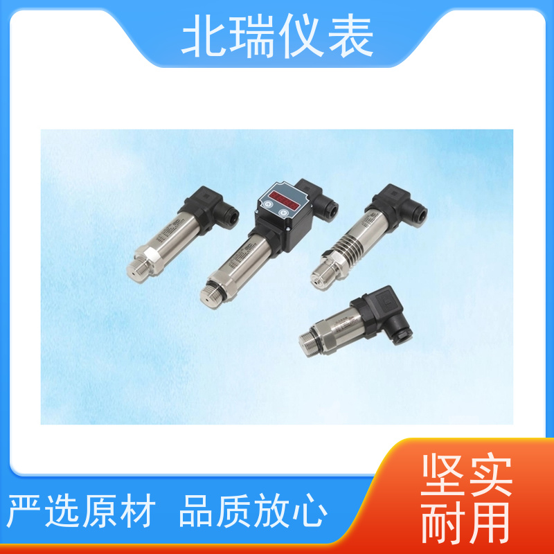 北瑞仪表 防水型 精度等级高 严选原材 品质放心