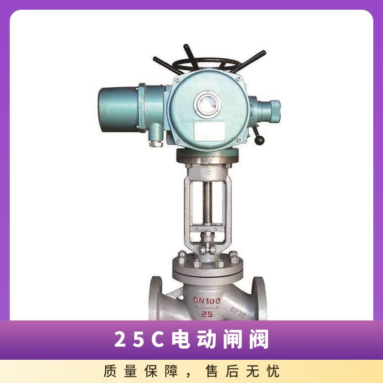 硬密封 法兰 常压 铸钢.不锈钢 电动 Z941H-25C DN100