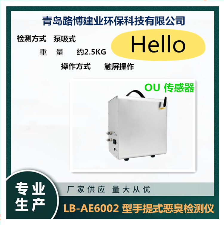路博建业 手提式恶臭多参数气体检测仪 LB-AE6002 8+1或者9+1