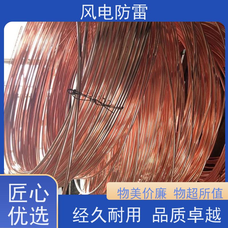 风电防雷 支持定做 延长使用寿命 特殊非 金 属材料 铜包钢扁钢40*4mm
