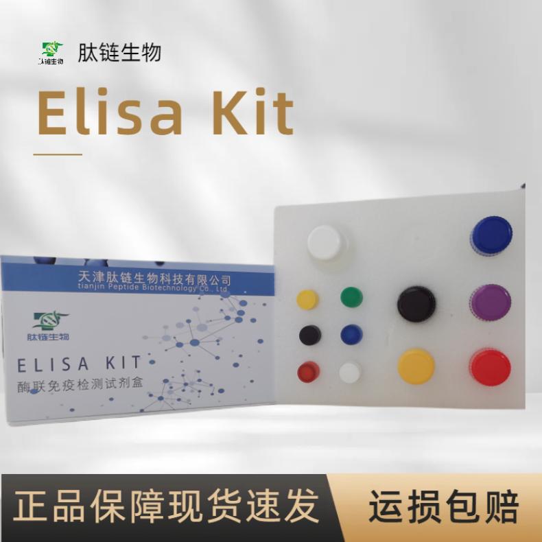 人酪氨酰DNA 磷酸二酯酶1(TDP1)elisa试剂盒质量稳定免费代测
