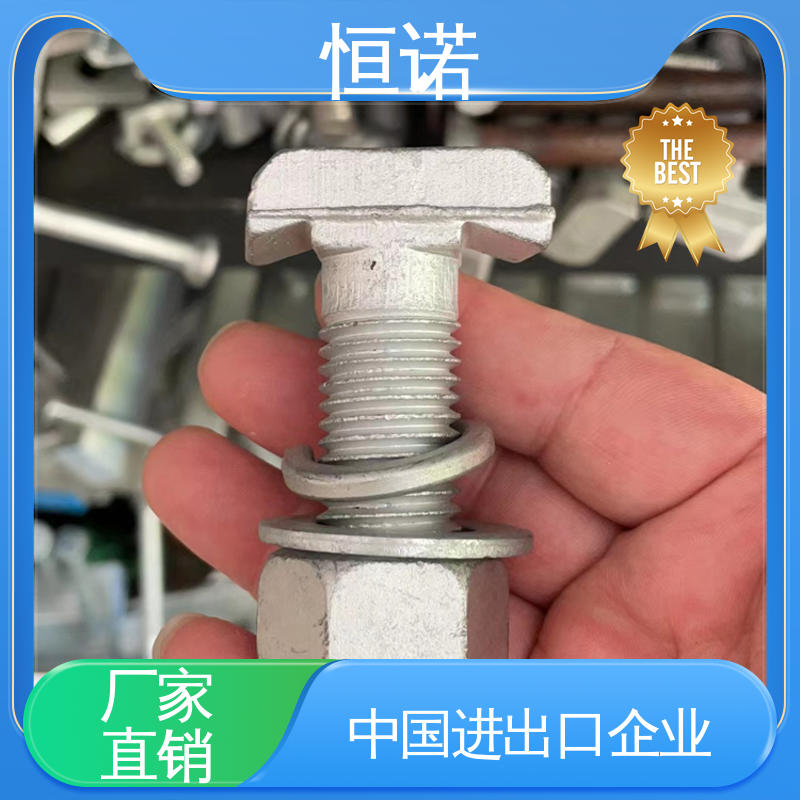 恒诺 抗拉耐腐蚀 订做异型件 厂家供应 管廊托臂支架T型螺栓