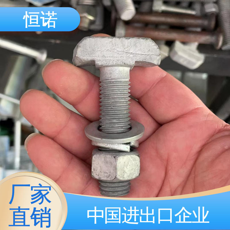 防腐性好 图纸定做 8.8级T型螺栓 质量保障 恒诺