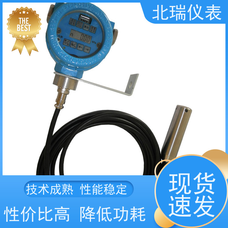 北瑞仪表 多领域可用 精度高 物流配送 发货快 水位水温计
