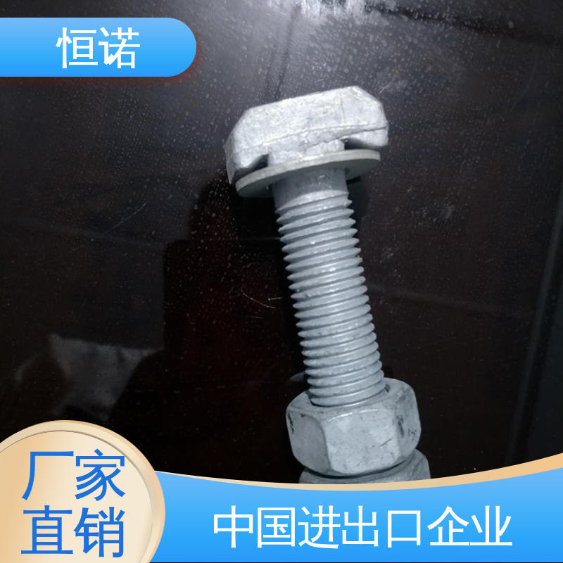 恒诺 源头工厂 坚固耐用 地铁预埋槽道T型螺栓 订做异型件