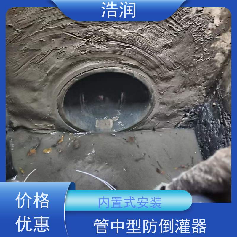 浩润 管中型内置式防倒灌器 无动力运行 诚信经营
