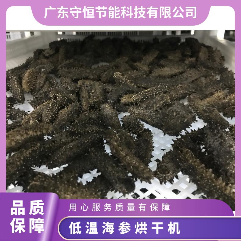 空气能低温海参烘干机 海鱼冷风干燥设备 各种海鲜都可使用 节能高效