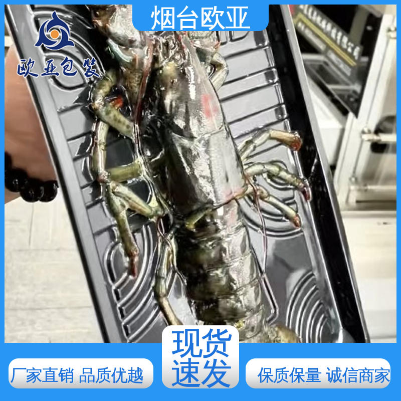 高效环保 厚度可定制 鱼丸贴体膜 老牌品牌 欧亚包装