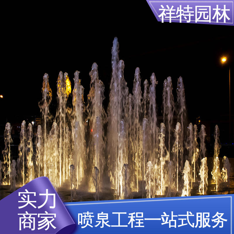 多年经验 七彩灯光排列 工艺精良 专业喷泉设计厂家 祥特园林