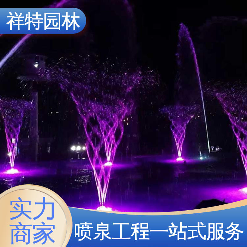 操作简单 球形喷嘴 专业音乐喷泉设计 七彩灯光排列 祥特园林