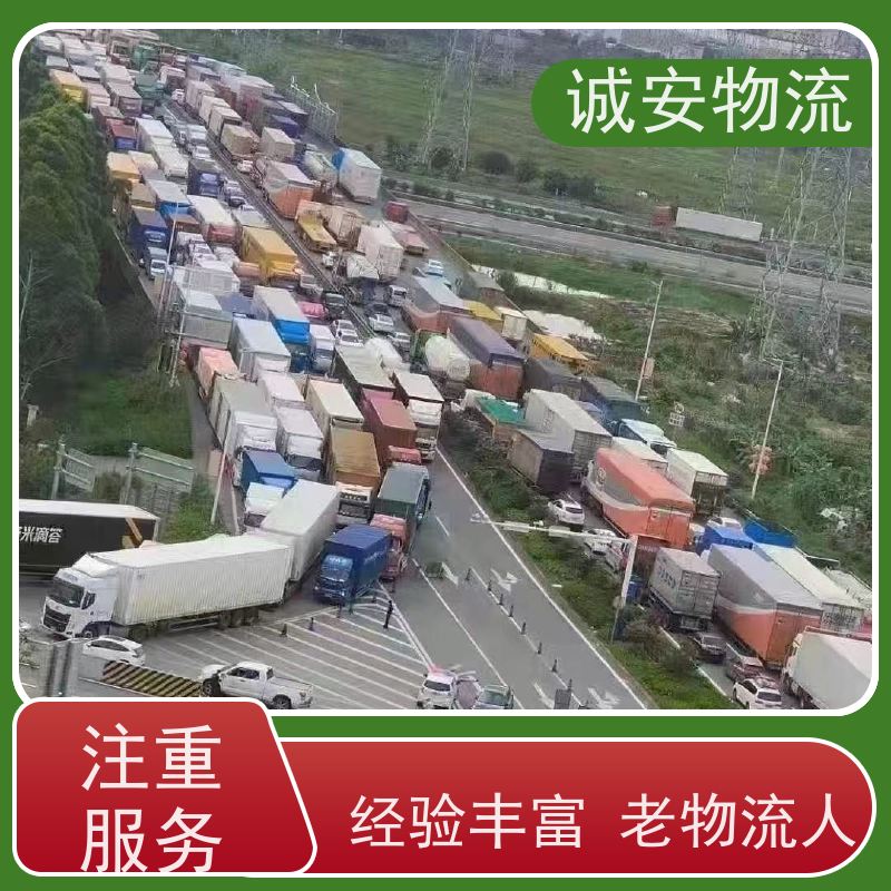 诚安物流 45尺自备柜 蛇口拖车 一般贸易买单报关 一天到