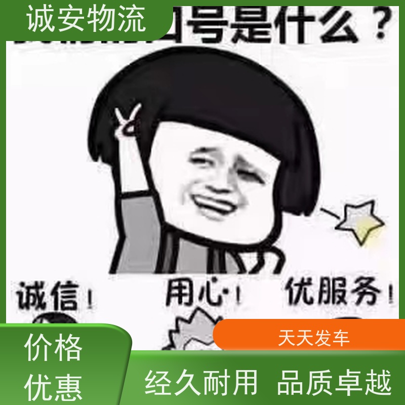 诚安物流 小货车 河源到香港 一般贸易买单报关 随时发车