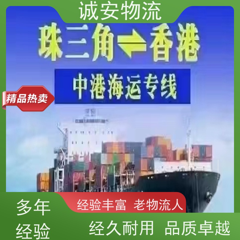 诚安物流 45尺自备柜 盐田拖柜 出口报关 隔天到