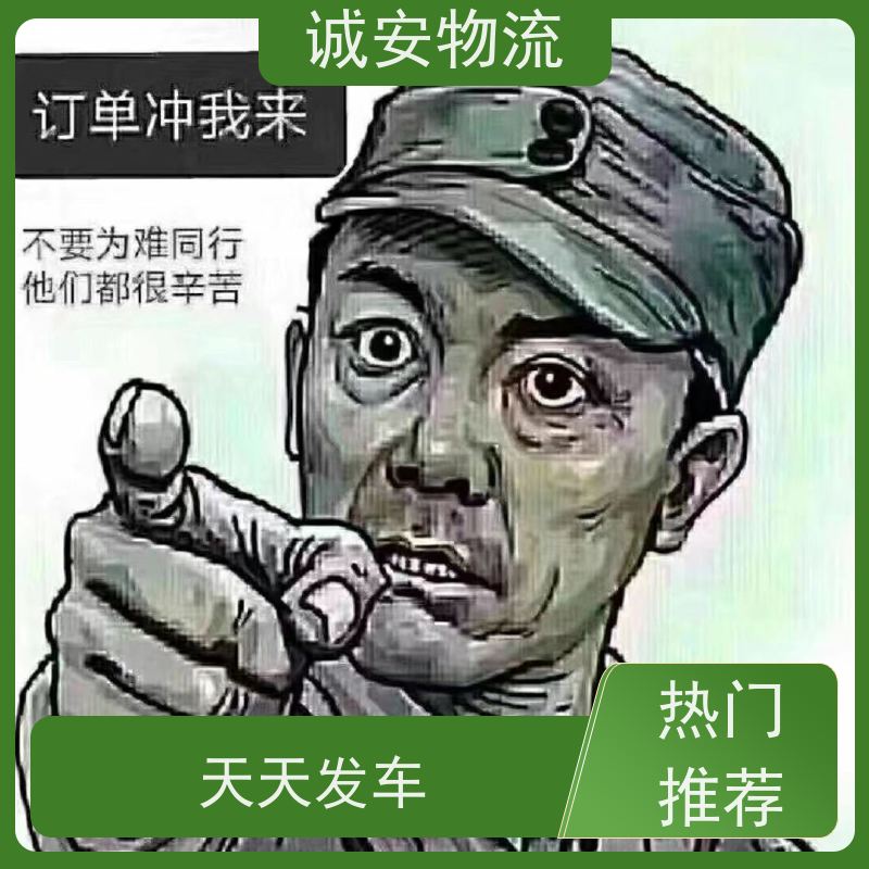 诚安物流 40尺自备柜 阳江到广州 出口报关 半天到