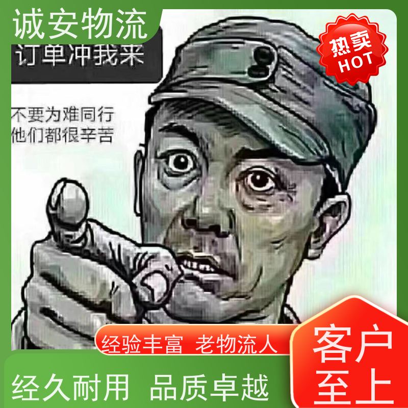 诚安物流 3吨车 蛇口拖车 陆运送货到门 随时发车