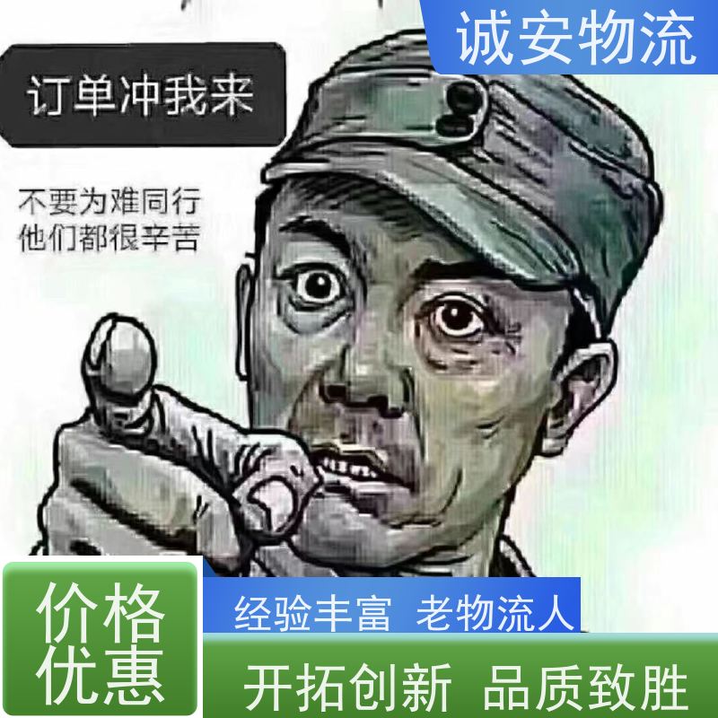 诚安物流 惠州香港专线陆运服务 送货上门 品质致胜