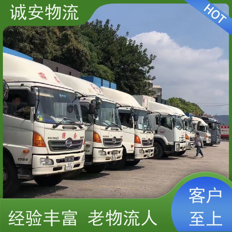 诚安物流 3吨车 河源到东莞 陆运送货到门 一天到