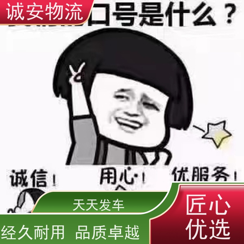 诚安物流 10吨车 盐田拖柜 陆运送货到门 随时发车