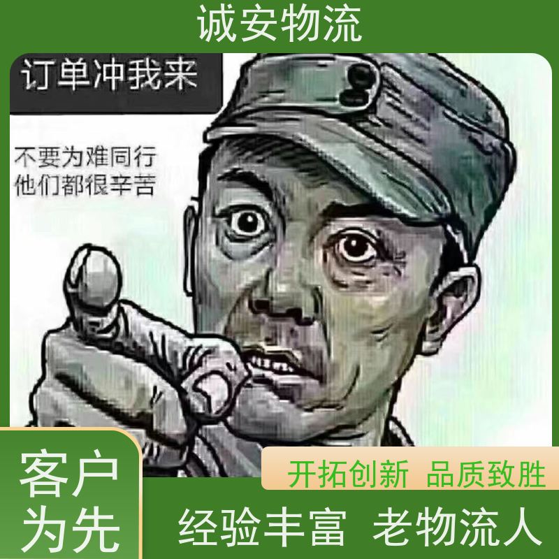 诚安物流 吊臂车 东莞到南宁 出口报关 随时发车