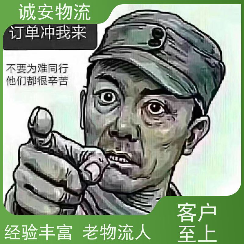 诚安物流 5吨车 深圳到香港 一般贸易买单报关 一天到