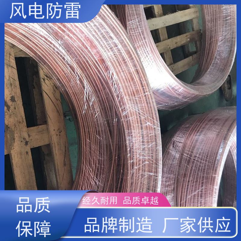 风电防雷 厂 家出售 价美物优 特殊非 金 属材料 铜覆钢扁钢40*4mm