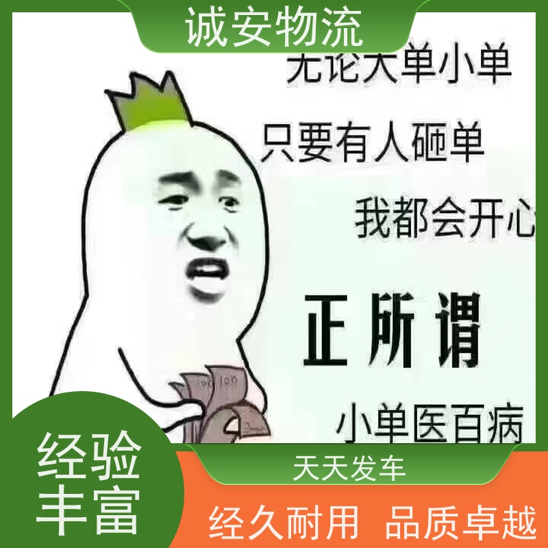 诚安物流 45尺自备柜 河源到东莞 陆运送货到门 半天到