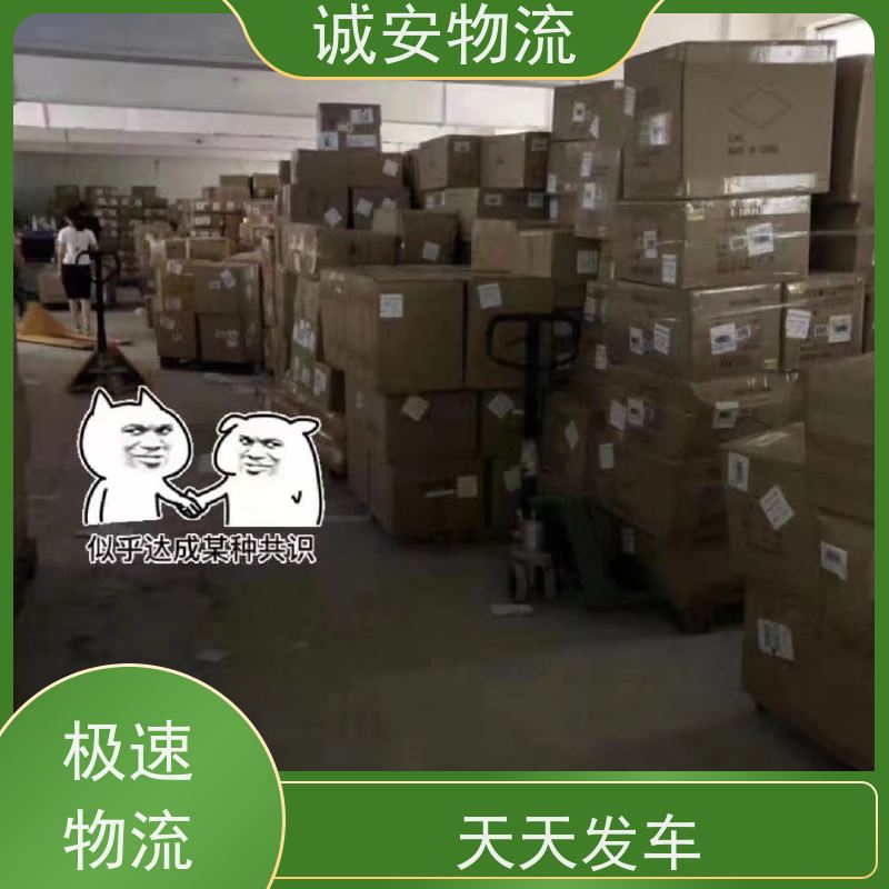 诚安物流 45尺自备柜 东莞到广州 出口报关 次日到