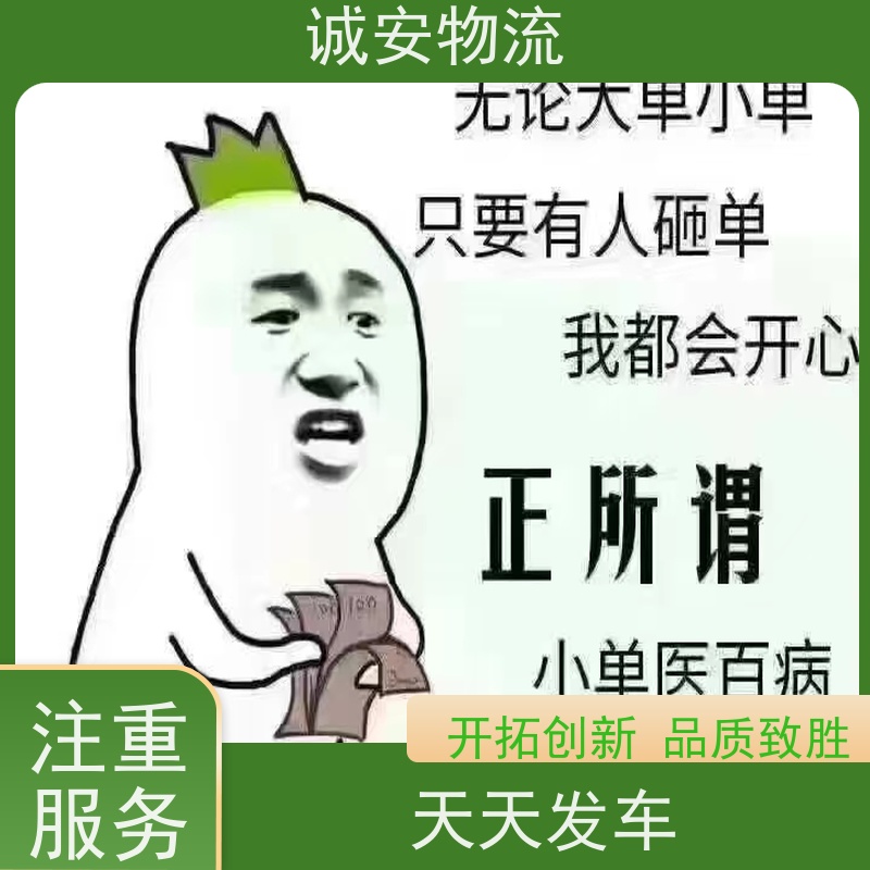诚安物流 小货车 阳江到广州 专人跟单 随时发车