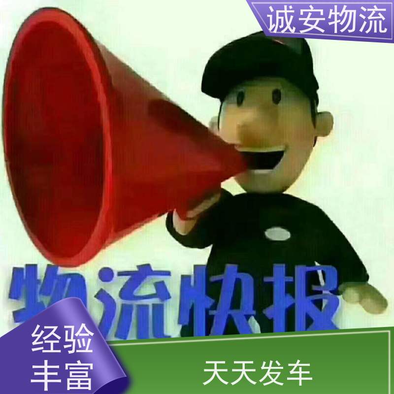 诚安物流 5吨车 河源到东莞 一般贸易买单报关 半天到