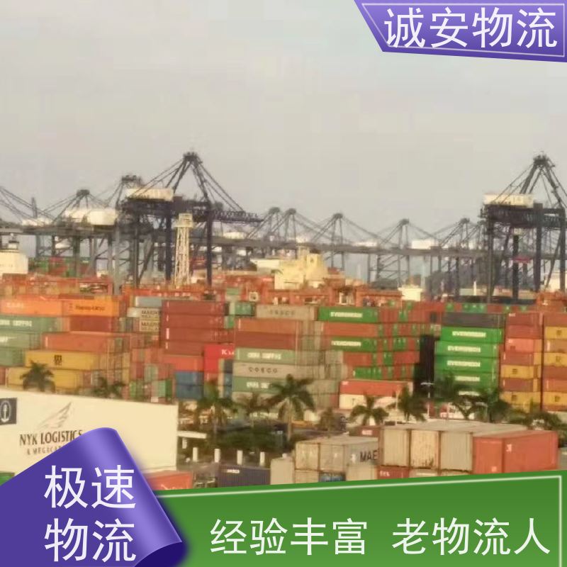 诚安物流 45尺自备柜 惠州到香港 出口报关 次日到