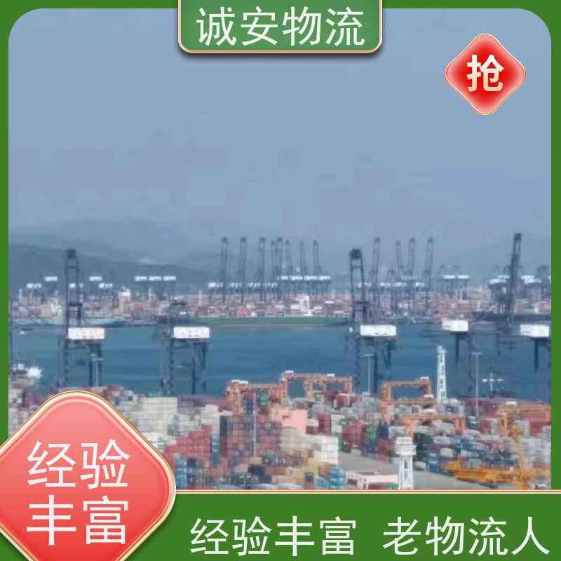 诚安物流 40尺自备柜 佛山到香港 专人跟单 一天到